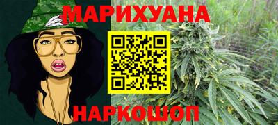 мяу мяу мука Ачхой-Мартан