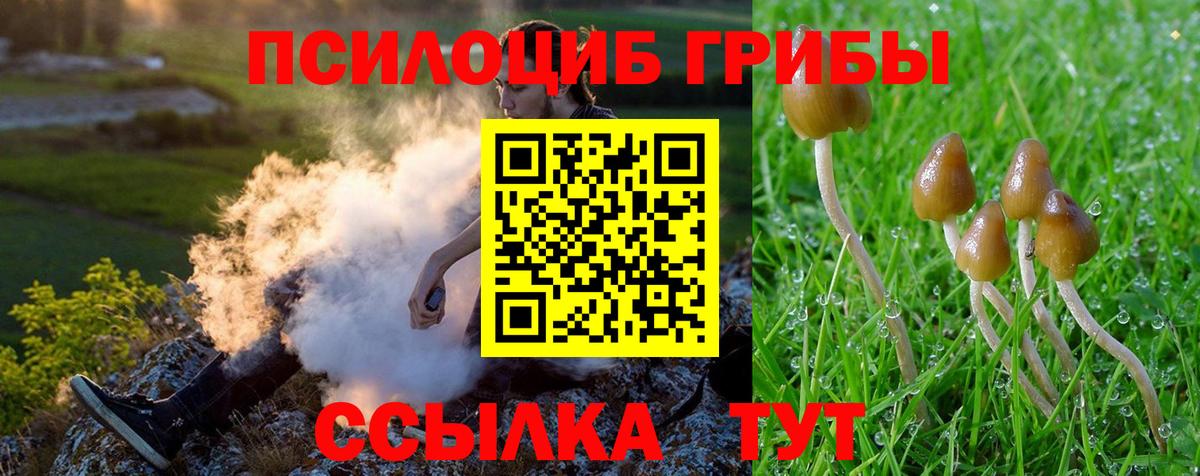 Саранск  Псилоцибиновые грибы ЛСД  Галлюциногенные грибы Cubensis  Вход с VPN 