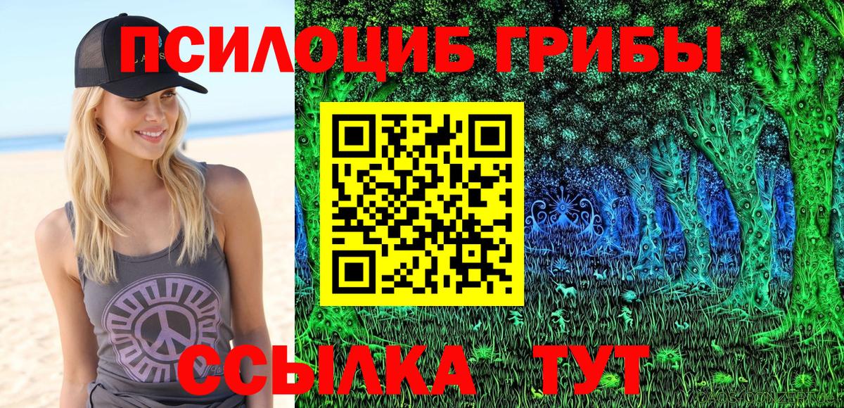 Галлюциногенные грибы мицелий Саранск